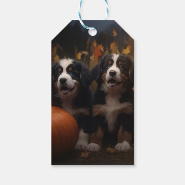 Bernese Mountain Puppy Autumn Delight Pumpkin Presentetikett (Framsidan)