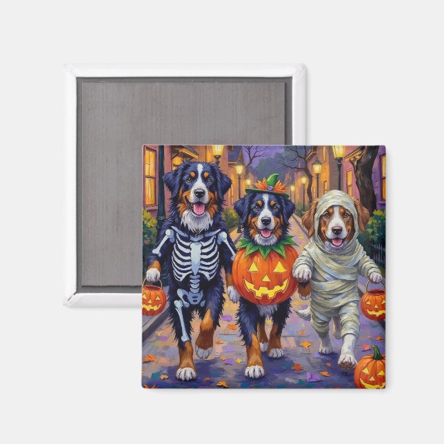 Bernese Mountain Trick-or-Treating in Halloween Magnet (Front/Back)