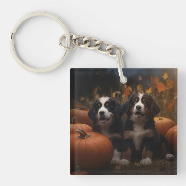 Bernese Mountain Valp Höstglädje Pumpa (Framsidan)