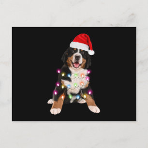Bernese Mouny christmas-gåva Vykort