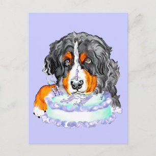 Bernese Mt Hund Cake Ansikte Birthday Vykort