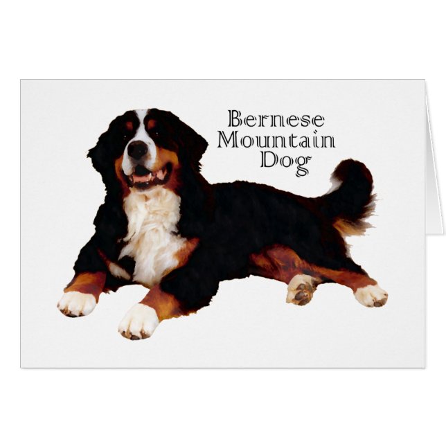 BERNESE Mt. Hund Hälsningskort (Framsidan Horizontal)