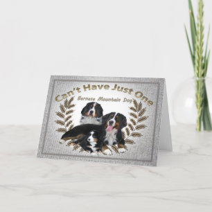 Bernese Mt. Hund kan inte ha bara en Helgkort