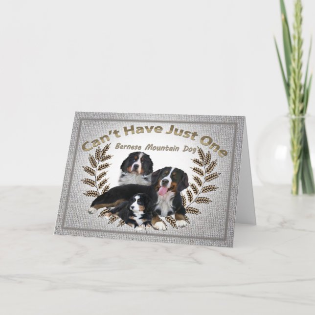 Bernese Mt. Hund kan inte ha bara en Helgkort (Framsida)