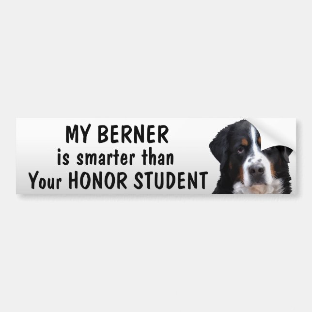 Bernese Mt hund - som är mer smart än student - Bildekal (Framsidan)