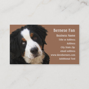 Bernese Mtn Hund Affärskort - Lucy Visitkort