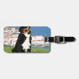 Bernese nötkreatur hund poserar på stranden bagagebricka