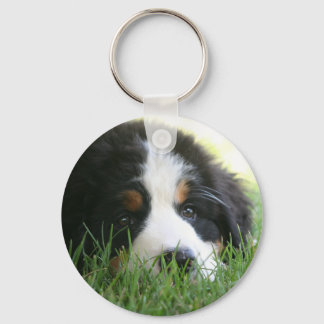 Bernese Puppy Nyckelring
