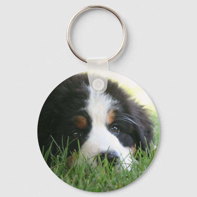 Bernese Puppy Nyckelring (Framsida)