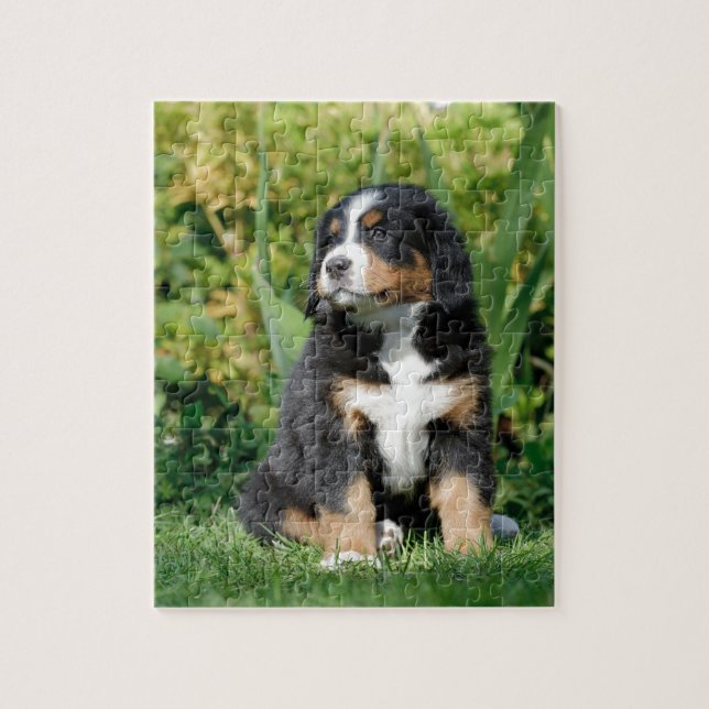 Bernese puppy pussel (Vertikal)