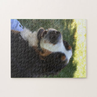 Bernese pussel