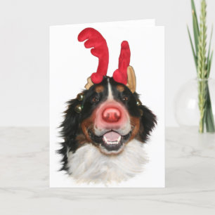 Bernese Roodolph (Rudolph) Helgkort