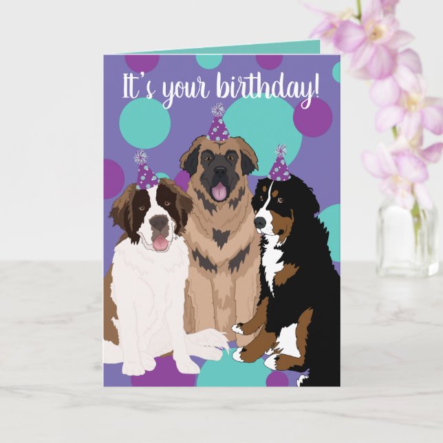 Bernese, Saint Bernard, Leonberger Birthday Kort (Orkide)