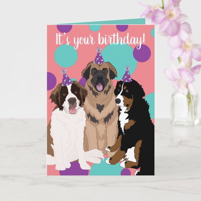 Bernese, Saint Bernard, Leonberger Birthday Kort (Orkide)