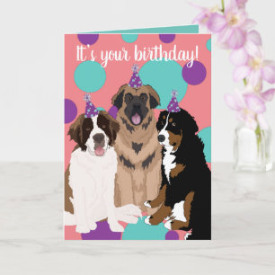 Bernese, Saint Bernard, Leonberger Birthday Kort