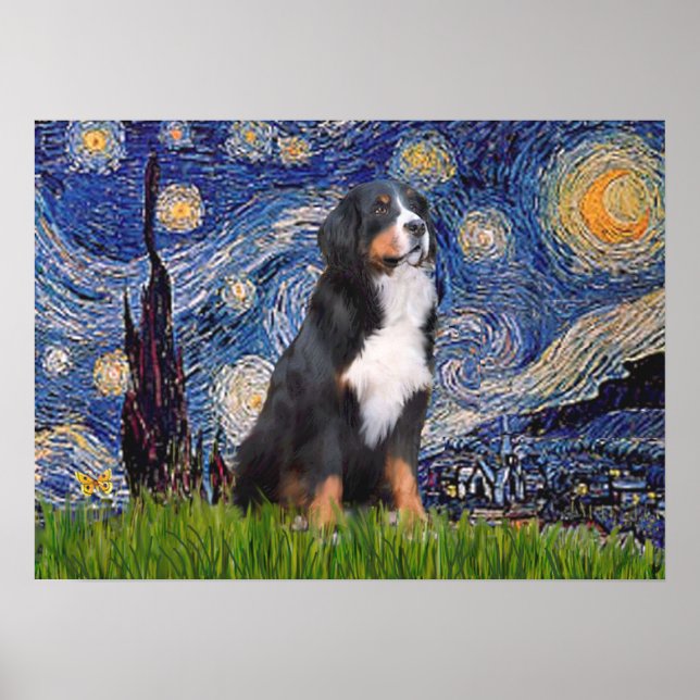 Bernese - Starry Night Poster (Framsidan)