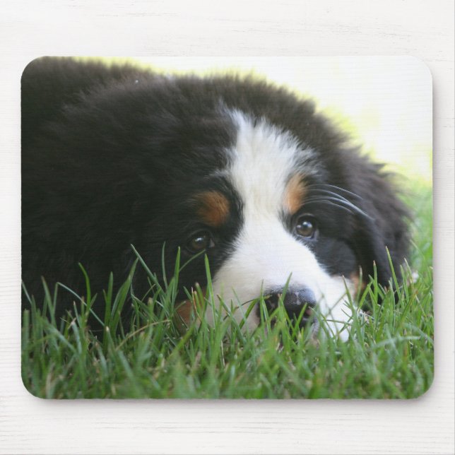 Bernese valp Mousepad Musmatta (Framsidan)