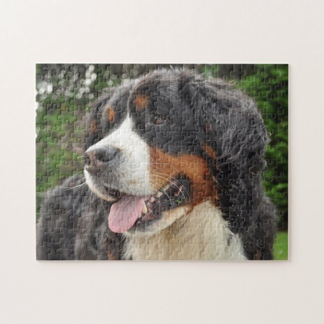 Bernesisk bergshund. pussel (Horisontell)