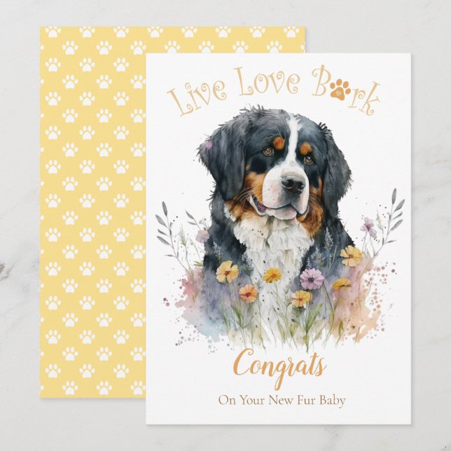 Bernesisk Hund Adoption, Gotcha Day Kort (Fram/baksida)
