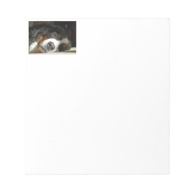 Bernesisk hund anteckningsblock (Framsida)