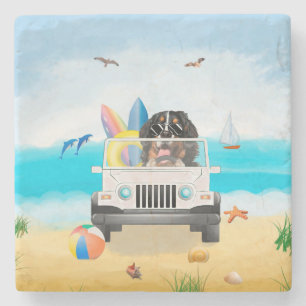 Bernesisk Hund Drift på Beach Stenunderlägg