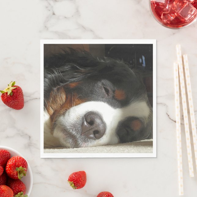 Bernesisk hund pappersservett (Insitu)