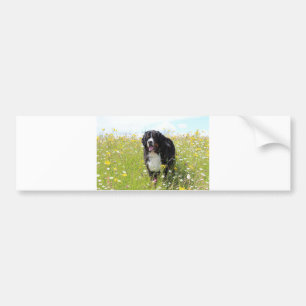 Bernesiskt bergsområde hund i fält bildekal