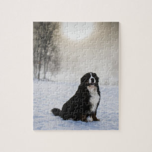 Bernesiskt bergsområde hund i snö pussel