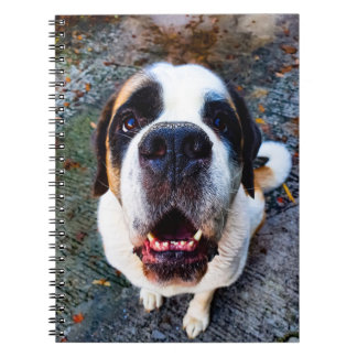 Bernhadiner  anteckningsbok