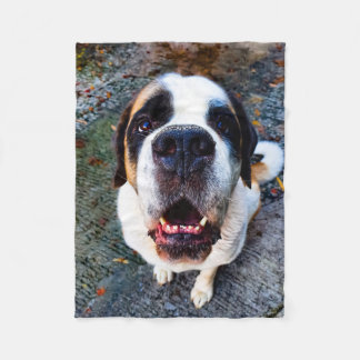 Bernhadiner  fleecefilt