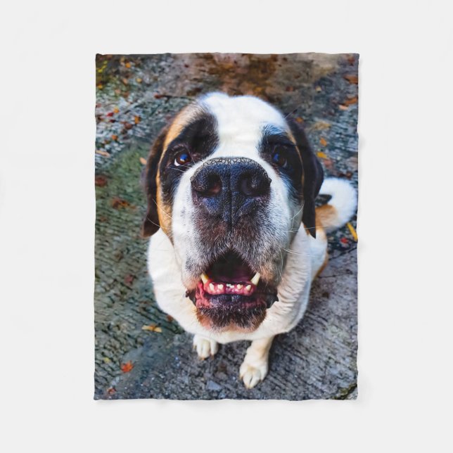 Bernhadiner  fleecefilt (Framsidan)