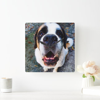 Bernhadiner  fyrkantig klocka