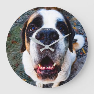 Bernhadiner  stor klocka