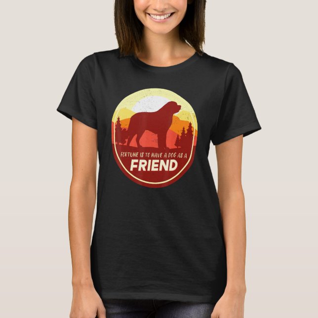Bernhardiner Hund Retro 12 T Shirt (Framsida)