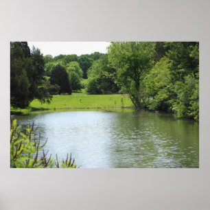 Bernheim Forest Pond Skriv ut Poster
