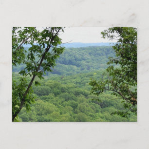 Bernheim Forest Postcard Vykort