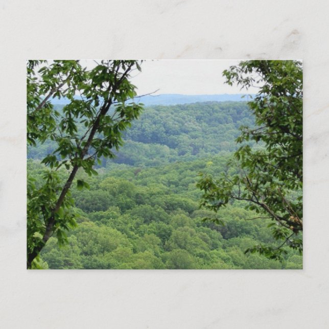 Bernheim Forest Postcard Vykort (Framsida)