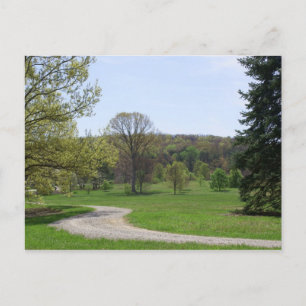 Bernheim skog vykort