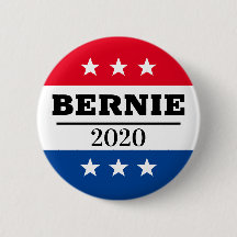 BERNIE 2020 Valpin