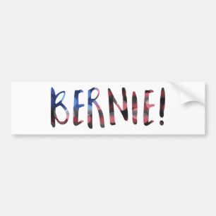 bernie sanders bokech bildekal
