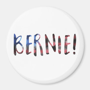 bernie sanders bokech magnet