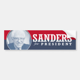 BERNIE SLIPMASKINER 2016 BILDEKAL
