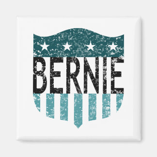 BERNIE stars och stripes Magnet