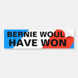 BERNIE WOULD HAR SEGRAT BILDEKAL
