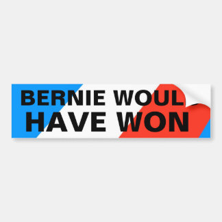 BERNIE WOULD HAR SEGRAT BILDEKAL
