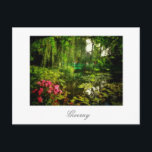 Berömd Claude Monet Giverny Pond Lilies Postcard Vykort<br><div class="desc">Berömd Claude Monet Giverny, Frankrike Pond med Lilies Canvas Stylized Photo Postcard för att lägga till i din minnessamling för resor. En gåva/presentidé av coola för alla som är föremål av kärlek anpassad design personlig, positiva former, arkitektur, resande, all Fransk i sak, magiska landskap, natur, blommor, romantik, konst, målningar osv....</div>