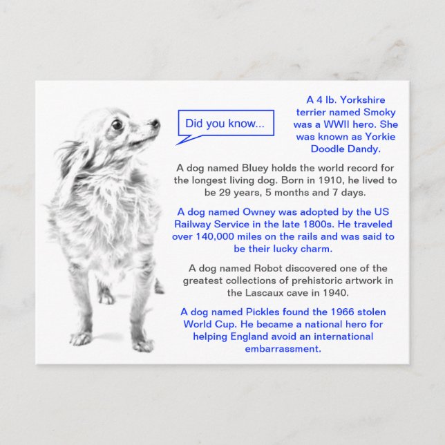Berömd Hundar Roligt Facts Vykort (Framsida)