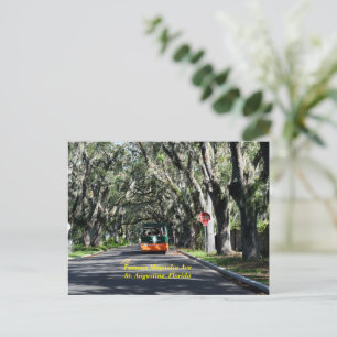Berömd Magnolia Ave St Augustine, Florida Helg Vykort