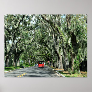 Berömd Magnolia Ave St Augustine, Florida Poster