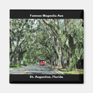 Berömd Magnolia Avenue Magnet